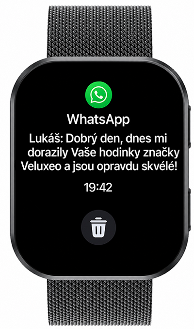 Obrázek 1